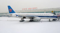 B-6827 @ ZYHB - China Southern A320 @Harbin - by Dawei Sun