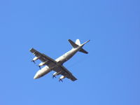 UNKNOWN @ RJSM - P-3 Orion fly over - by Eagar