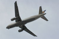 D-AIZF photo, click to enlarge D-AIZF photo, click to enlarge