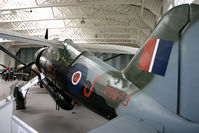 G-LIZY photo, click to enlarge G-LIZY photo, click to enlarge