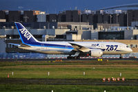 JA806A @ EDDF - ANA All Nippon Airways - by Artur Badoń