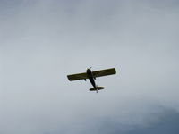 N5503H photo, click to enlarge