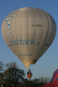 G-CDDN - Fishtank. At the Icicle Balloon Meet, Savernake. - by Howard J Curtis