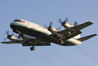 G-FIZU photo, click to enlarge G-FIZU photo, click to enlarge
