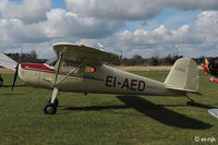 EI-AED - Photographed at the Limetree Spring Fly-in 16-03-2013. - by Noel Kearney