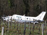 N90KH - emergency landing at Sainte-Radegonde/Gironde - by Jean Goubet-FRENCHSKY