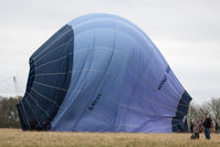 G-BXXG - At the 2013 Icicle Balloon Meet, Savernake Forest, Wilts. - by Howard J Curtis