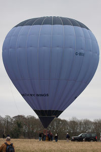 G-BXXG - At the 2013 Icicle Balloon Meet, Savernake Forest, Wilts. - by Howard J Curtis