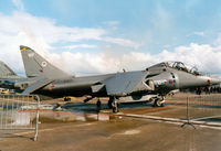 ZH659 @ MHZ - Harrier T.10 of 20[Reserve] Squadron at RAF Wittering on display at the RAF Mildenhall Air Fete 2000. - by Peter Nicholson
