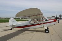 N4318C @ KRFD - Champion 7EC