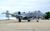 82-0656 @ ADW - Warthog