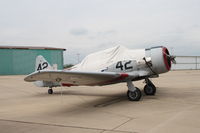 N77TX @ HAE - Sharing the ramp with a bunch of antique Cessnas