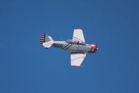 N62382 - SNJ-2 Geico Skytypers - by Florida Metal