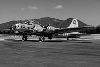 N3701G @ TMK - chuckie @ Tillamook Air Museum - by Terry Green