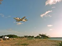 PJ-VIC @ BON - coming in for landing on Flamingo Airport, Bonaire - by Jolien Hazewinkel
