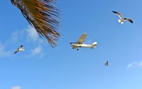 N199LP @ TNCB - coming in for landing on Flamingo Airport, Bonaire - by Jolien Hazewinkel