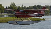 N4891Z @ PALH - Landing at Lake Hood - by Todd Royer