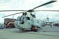 N16-125 @ EGVI - Westland WS.61 Mk.50A Sea King [WA796] (Royal Australian Navy) RAF Greenham Common~G 26/06/1977. Image taken from a slide. - by Ray Barber