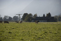 D-ETUA @ RTT - Final approach Skydive Tirol - Radfeld - by Skydive Exit