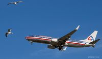 N873NN @ KJFK - Going to a landing on 31R @ JFK - by Gintaras B.