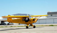 N41251 @ KLPC - At West Coast Piper Cub Fly-in 2012 Lompoc Calif - by Michael Madrid