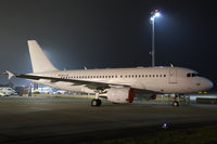 OE-LJG @ LOWW - Airbus A319 - by Thomas Ranner