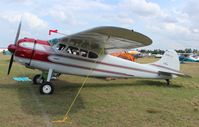 N190VV @ LAL - Cessna 190 - by Florida Metal