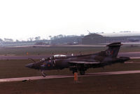 XW542 photo, click to enlarge XW542 photo, click to enlarge