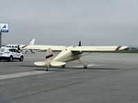 N89605 @ SZP - 1946 Cessna 140, Continental C85 85 Hp - by Doug Robertson