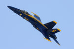 163768 @ NFW - US Navy Blue Angles at the 2014 Airpower Expo, NASJRB Fort Worth - by Zane Adams