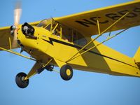 N6595H @ KGIF - Flying a Piper Cub at Winter Haven Airport - by Peggy