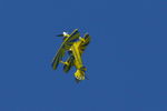 G-KITI photo, click to enlarge G-KITI photo, click to enlarge