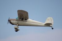 N2342V @ LAL - Cessna 140 - by Florida Metal