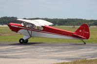 N7148K @ LAL - Piper PA-18 Super Cub - by Florida Metal