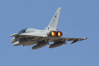 1019 @ LMML - Eurofighter EF-2000 1019 Royal Saudi Air Force - by Raymond Zammit