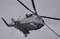 ZH828 photo, click to enlarge ZH828 photo, click to enlarge