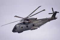 ZH828 photo, click to enlarge ZH828 photo, click to enlarge