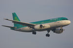 EI-DVN @ EGLL - Aer Lingus - by Chris Hall