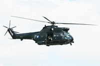 ZJ955 photo, click to enlarge ZJ955 photo, click to enlarge