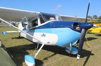 N74036 @ LAL - Cessna 170B - by Florida Metal