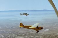 N42918 - Another picture of 918 & 93E over Fremont,Ca. in the SF Bay Area flying north on this beautiful day. Interesting to see the two most popular 65hp rag wing planes ever built.View is to the West with NUQ across the bay. - by S B J