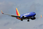 N905WN @ DAL - New Southwest Airlines livery, landing at Dallas Love Field - by Zane Adams