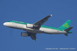 EI-DEA photo, click to enlarge EI-DEA photo, click to enlarge
