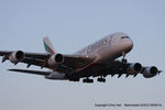 A6-EDW @ EGCC - Emirates - by Chris Hall