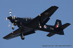 ZF317 photo, click to enlarge ZF317 photo, click to enlarge