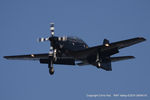 ZF317 photo, click to enlarge ZF317 photo, click to enlarge