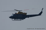 ZJ242 photo, click to enlarge ZJ242 photo, click to enlarge