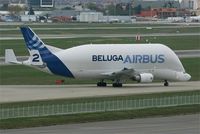 F-GSTB @ LFBO - Airbus A300B4-608ST Beluga, Taxiing after landing rwy 32L, Toulouse-Blagnac Airport (LFBO-TLS) - by Yves-Q