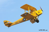 ZK-BER @ NZOM - Omaka Real Flying Club, Blenheim - by Peter Lewis