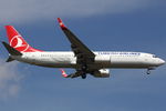 TC-JFL @ EDDF - Turkish Airlines - by Air-Micha